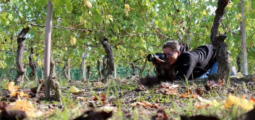 Giornata di foto, vendemmia e pigiatura come una volta – sabato 22 ottobre