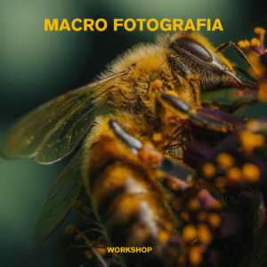 WORKSHOP DI MACROFOTOGRAFIA